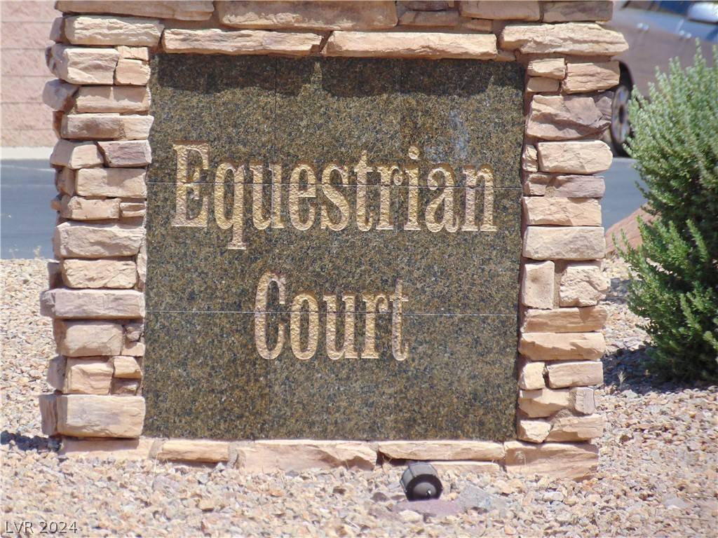 Henderson, NV 89015,786 Peregrine Falcon ST #0
