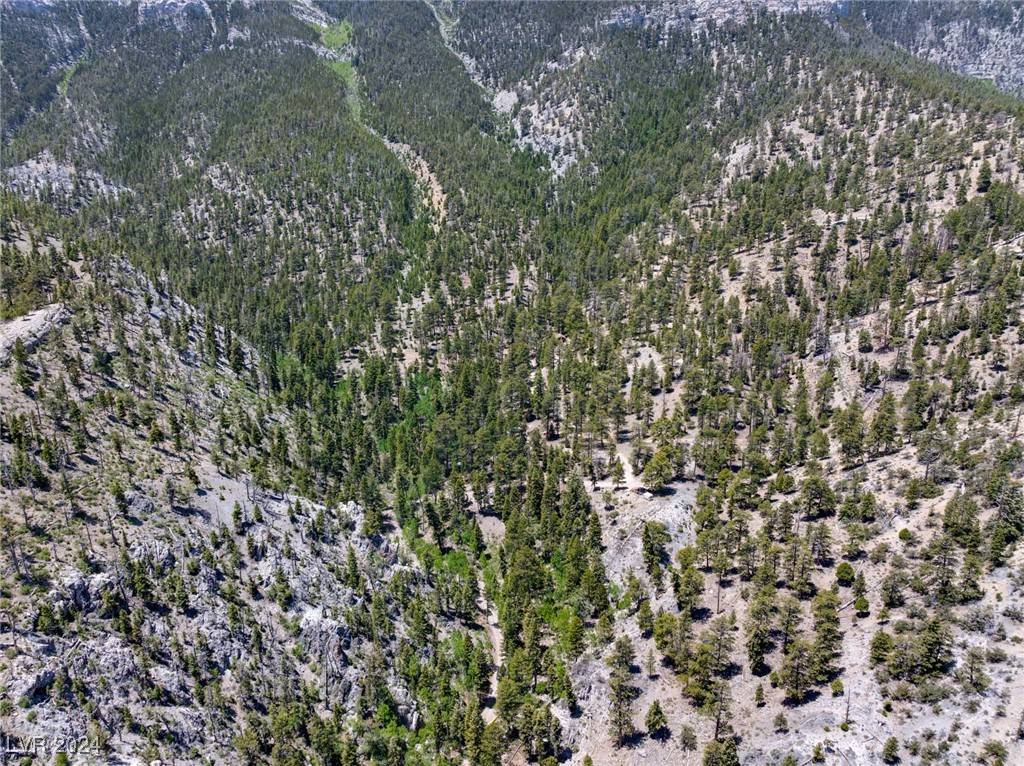 Mount Charleston, NV 89124,4085 Cougar Ridge TRL