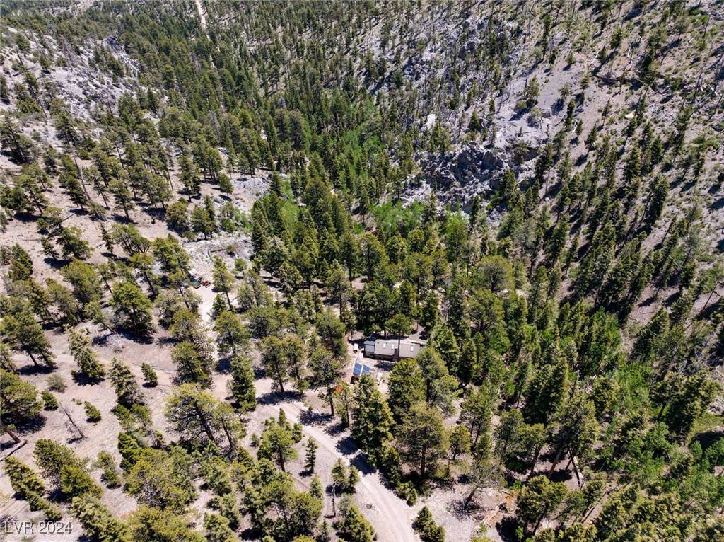 Mount Charleston, NV 89124,4085 Cougar Ridge TRL