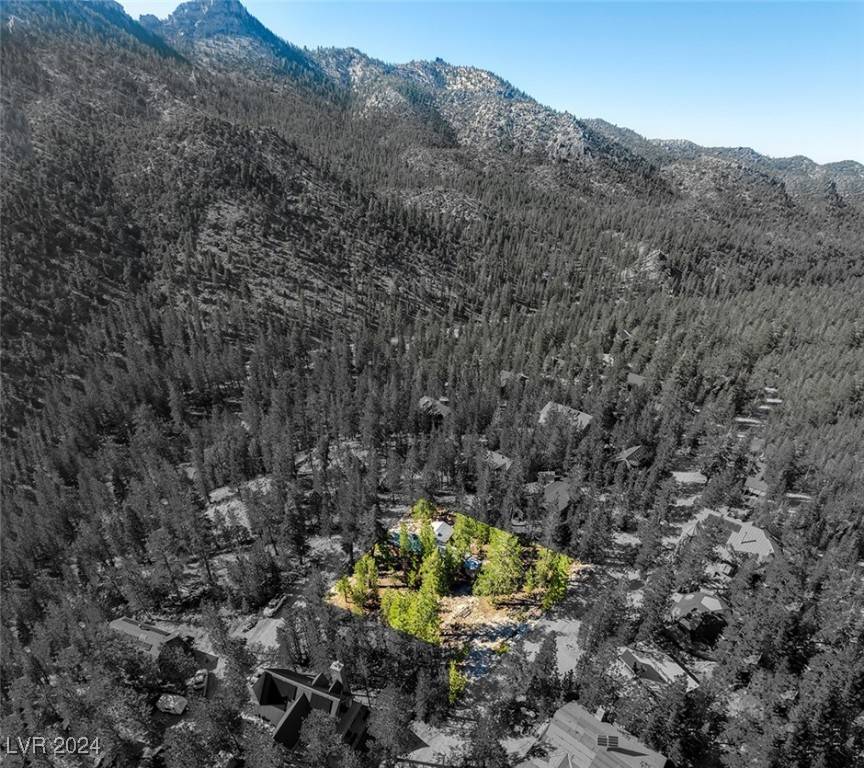 Mount Charleston, NV 89124,2130 Via Spes Nostra ST