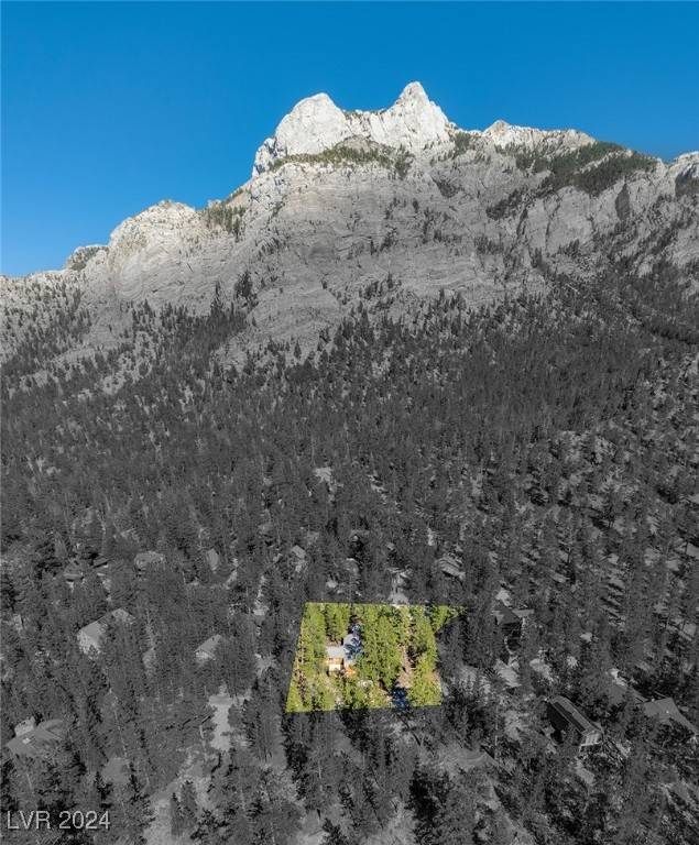 Mount Charleston, NV 89124,2130 Via Spes Nostra ST