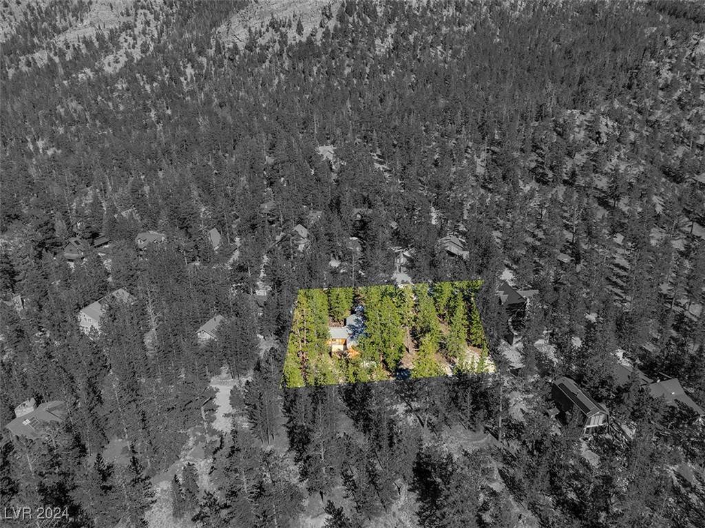 Mount Charleston, NV 89124,2130 Via Spes Nostra ST