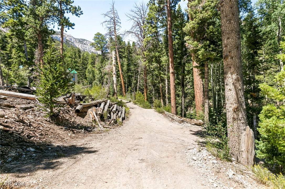 Mount Charleston, NV 89124,APN 128-07-201-017 N Fork Deer Creek