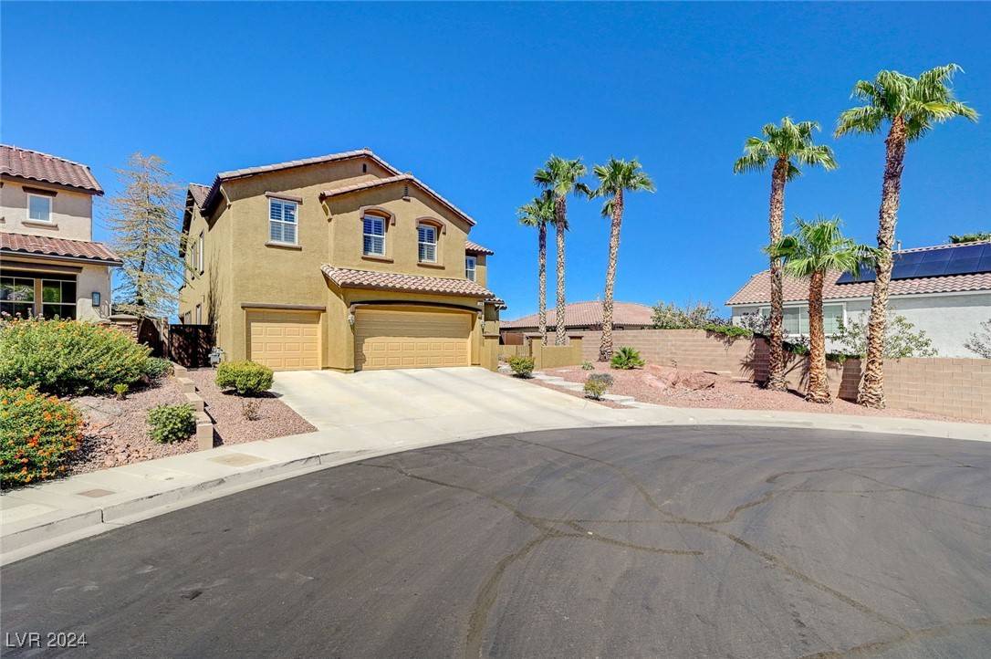 Henderson, NV 89002,26 Tuber Rose CT