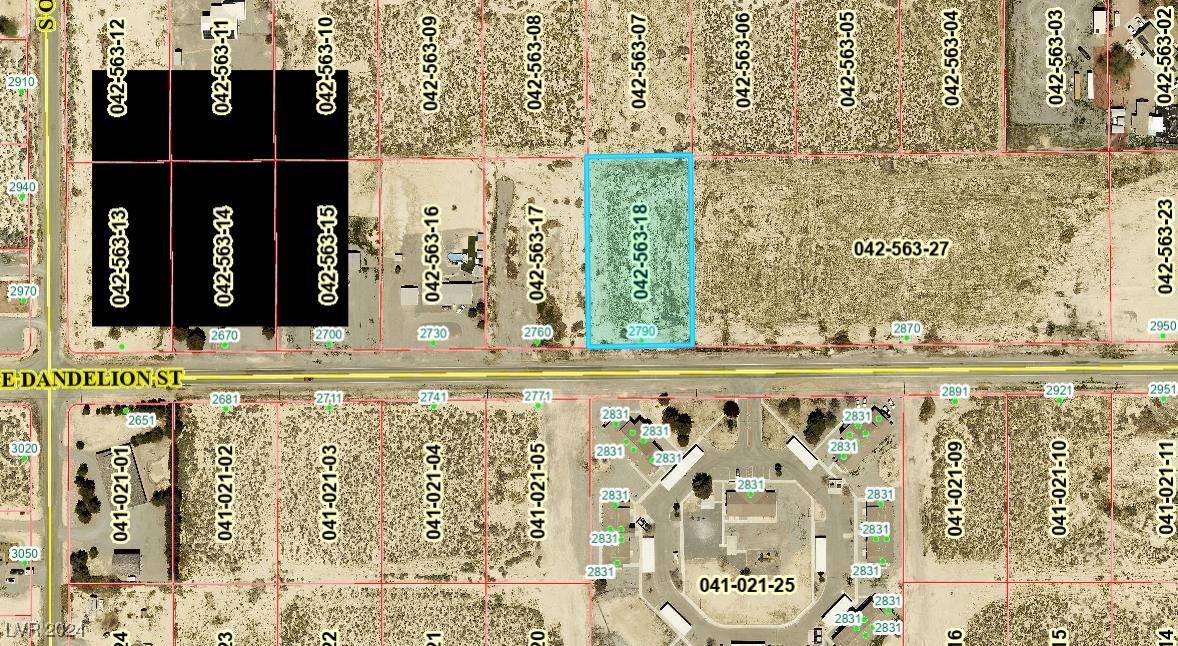 Pahrump, NV 89048,2790 E Dandelion ST