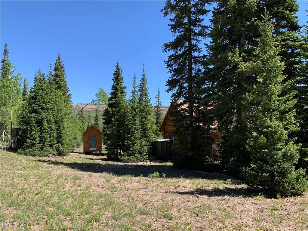 Brian Head, UT 84719,1554 Ireland LN