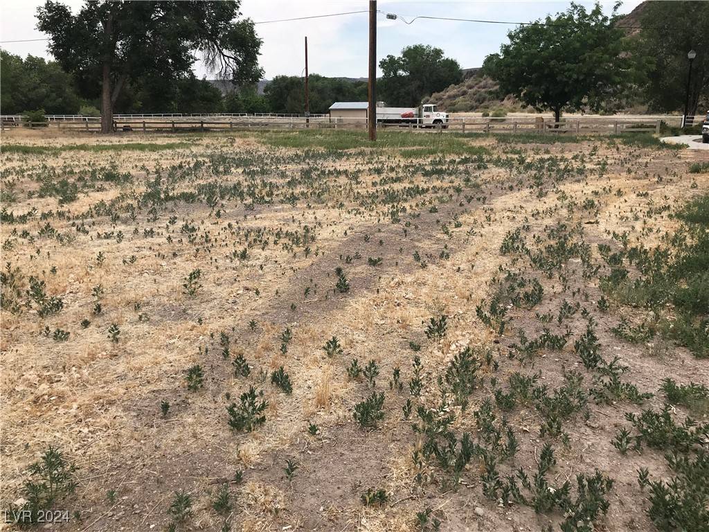 Caliente, NV 89008,Minnie ST