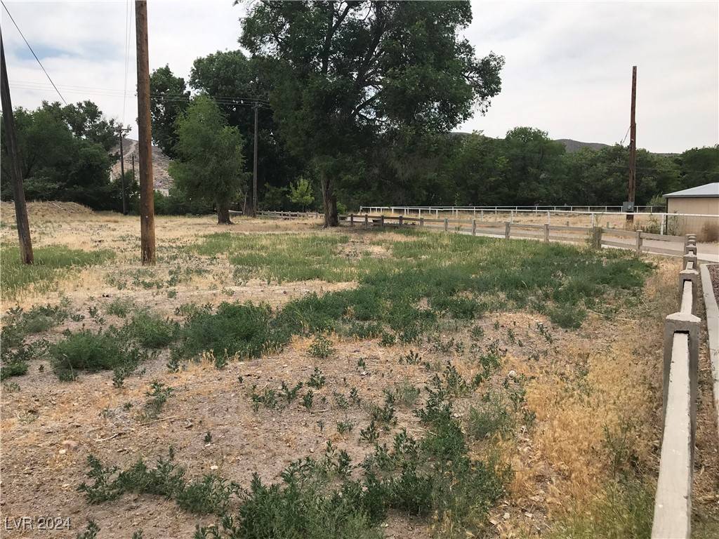 Caliente, NV 89008,Minnie ST