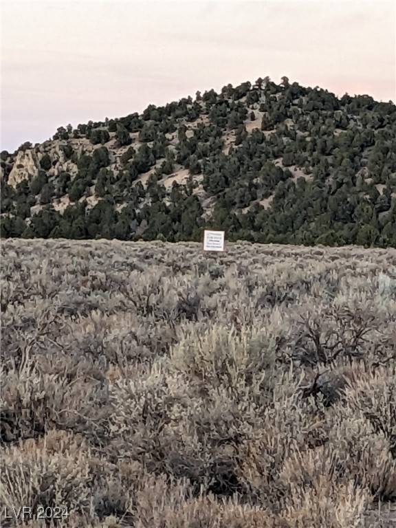 Caliente, NV 89008
