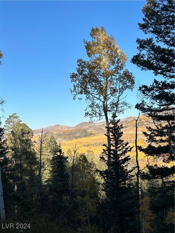 Brian Head, UT 84719,660 W Ski View DR