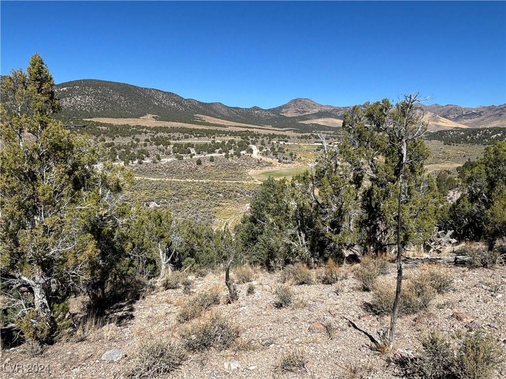 Mcgill, NV 89301,East Creek