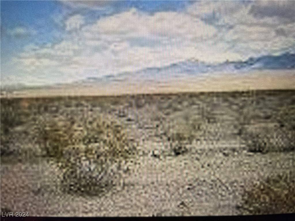 Pahrump, NV 89060,1451 E Saguaro DR