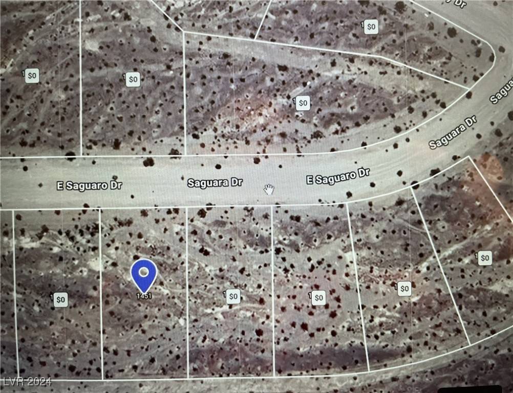 Pahrump, NV 89060,1451 E Saguaro DR