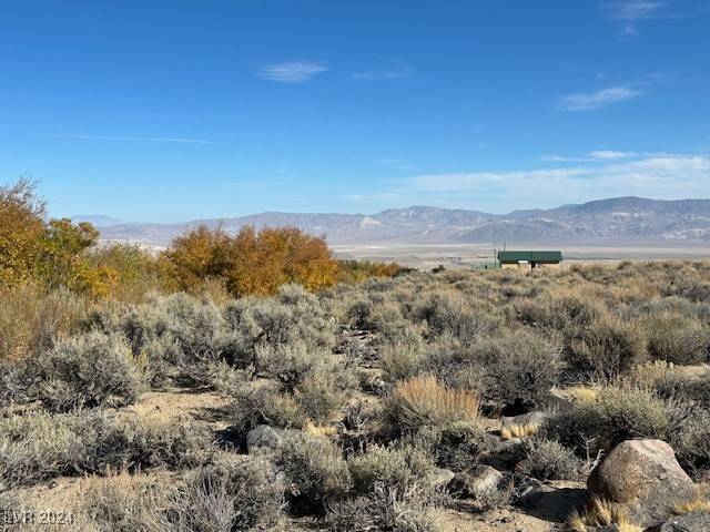 Dyer, NV 89010,840 Davis Meadow TRL