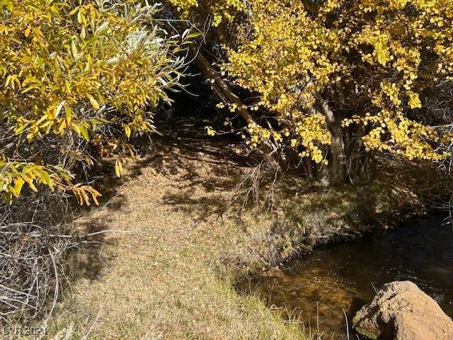 Dyer, NV 89010,840 Davis Meadow TRL