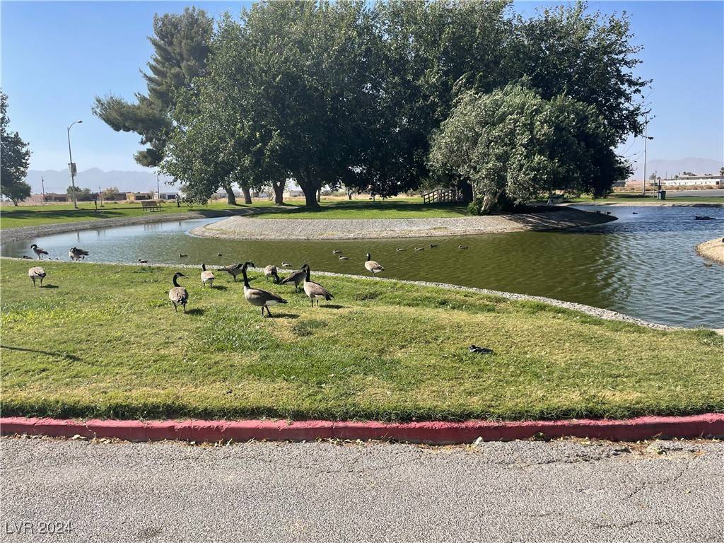 Pahrump, NV 89048,2061 E Calvada BLVD