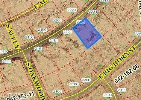 Pahrump, NV 89048,2221 E Ambush ST