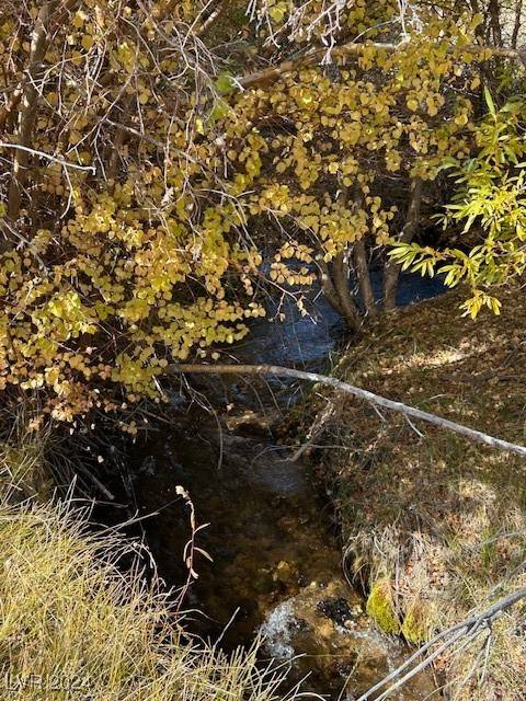 Dyer, NV 89010,700 Davis Meadow TRL