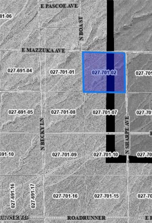 Pahrump, NV 89060,2381 E Mazzuka AVE