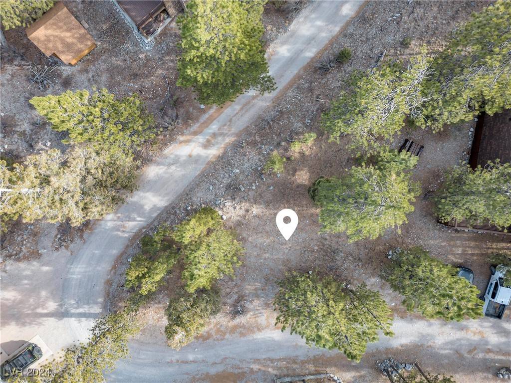 Mount Charleston, NV 89124,2194 Via Spes Nostra ST