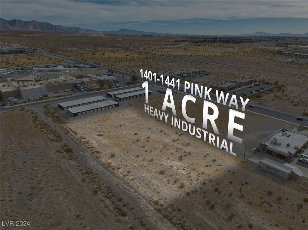 Pahrump, NV 89060,1401 E Pink WAY #1