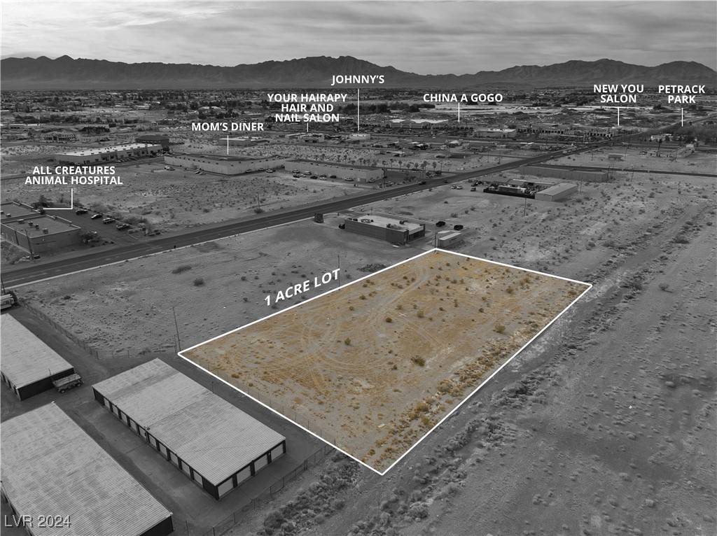 Pahrump, NV 89060,1401 E Pink WAY #1