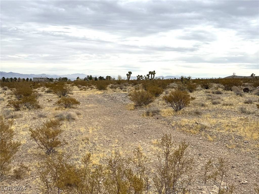 Las Vegas, NV 89166,Buena Vida