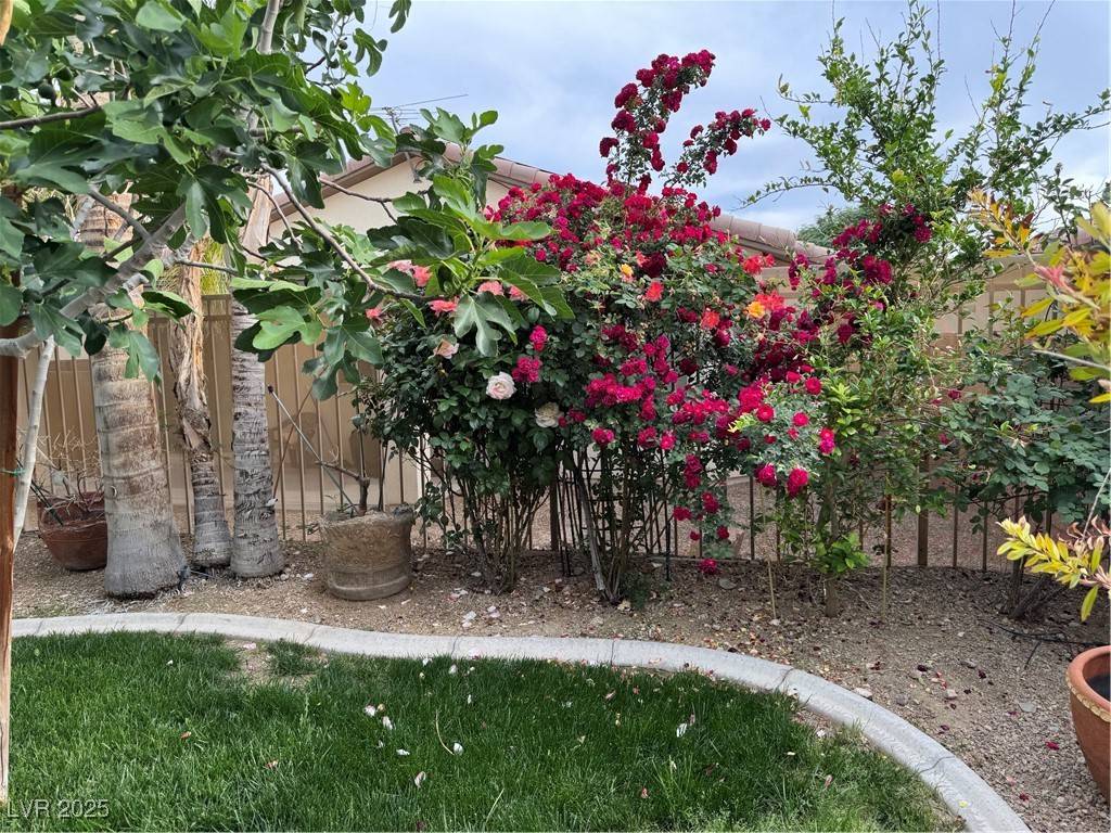 North Las Vegas, NV 89081,3709 Citrus Heights AVE