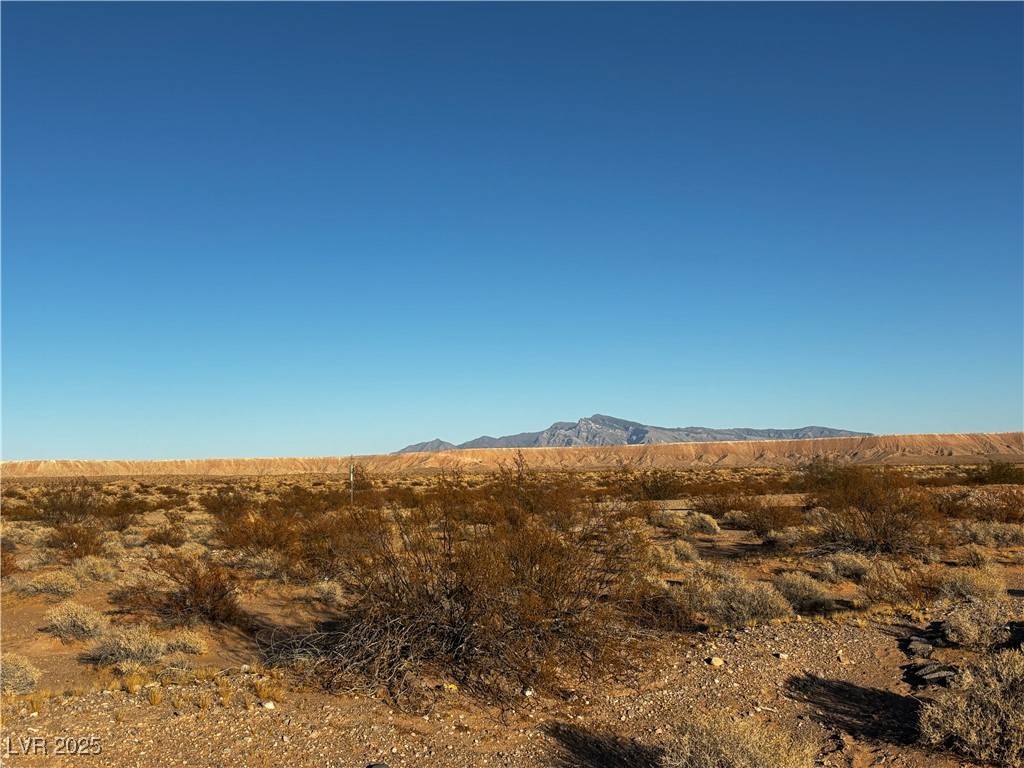Overton, NV 89040,Lou