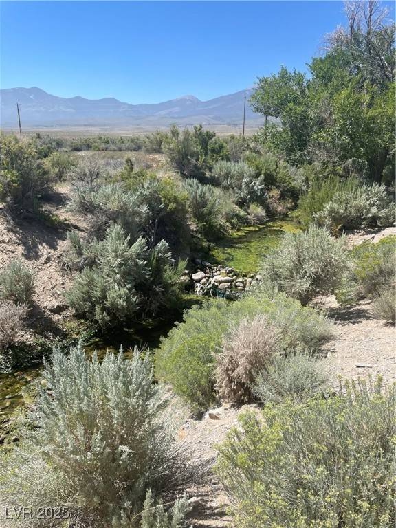 Ely, NV 89311,1970 Strawberry Ranch Rd