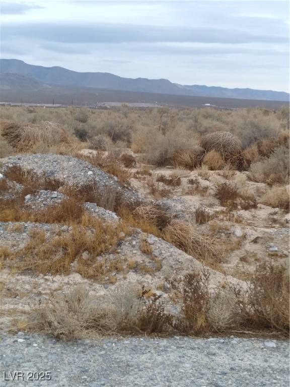 Pahrump, NV 89048,3981 S Lookout AVE