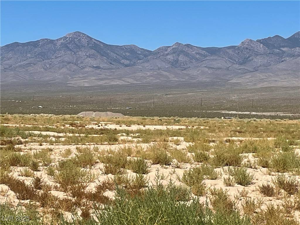 Pahrump, NV 89060,1280 W Cometa LN