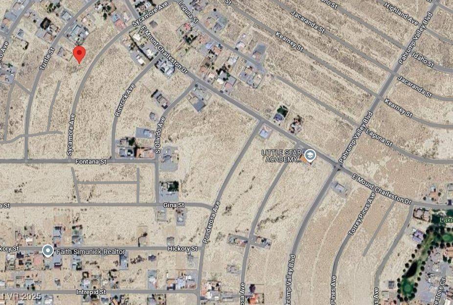 Pahrump, NV 89048,2510 S Sycamore AVE