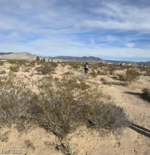 Sandy Valley, NV 89019,200-23-301-006
