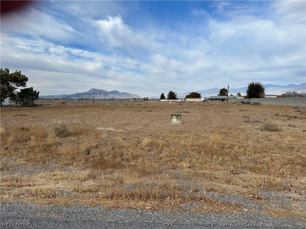 Pahrump, NV 89048,1610 Fawn ST