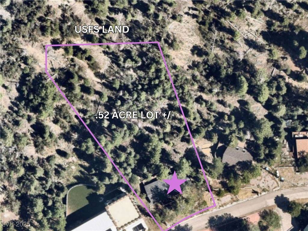 Mount Charleston, NV 89124,4154 Matterhorn WAY
