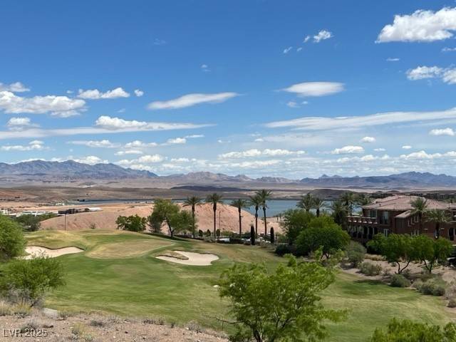 Henderson, NV 89011,25 Via Visione #102