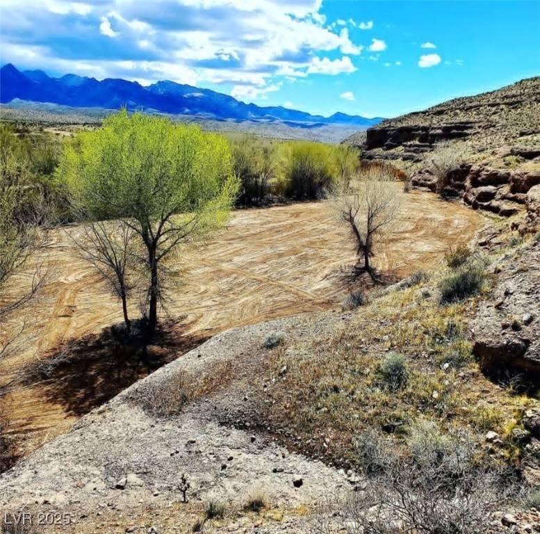 Caliente, NV 89008,46955 Moapa RD