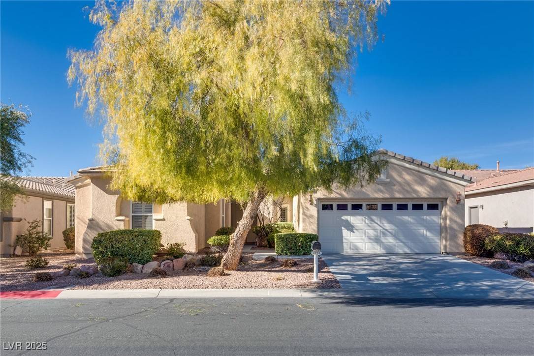 Las Vegas, NV 89135,4705 Bersaglio ST