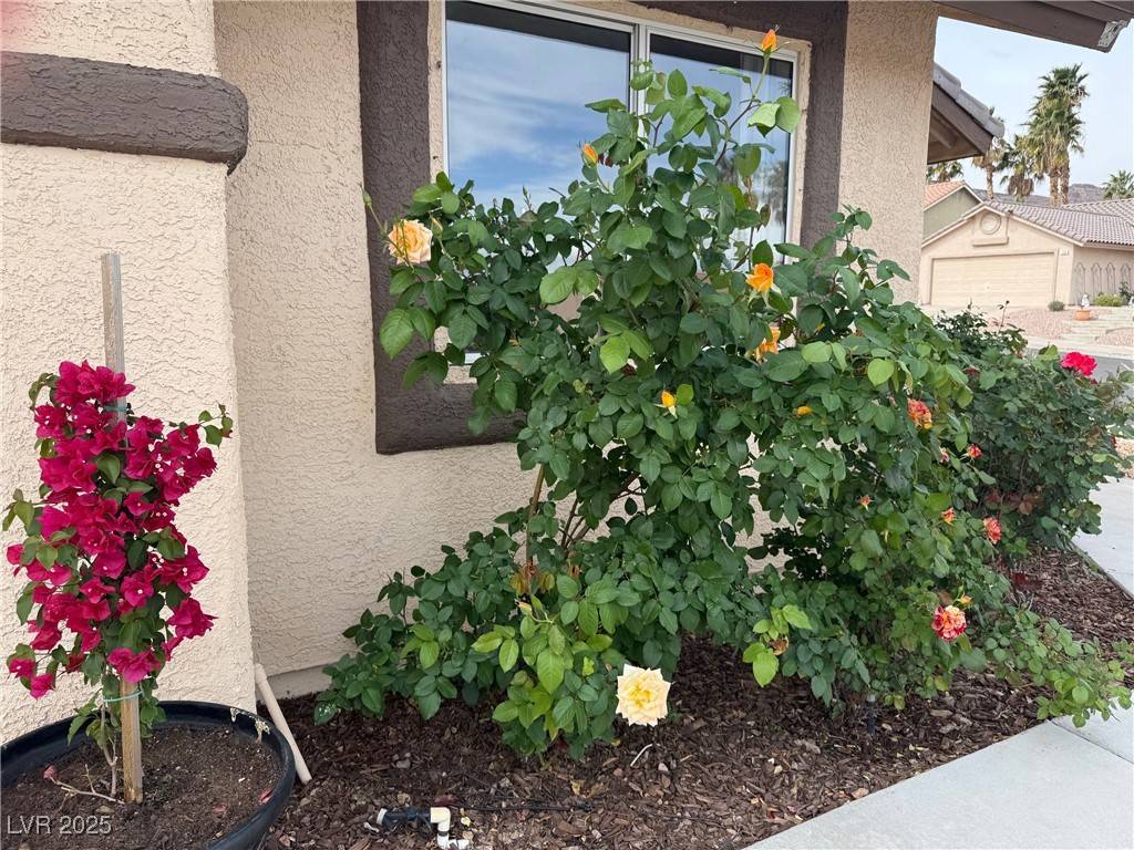 Henderson, NV 89002,845 Holly Lake WAY