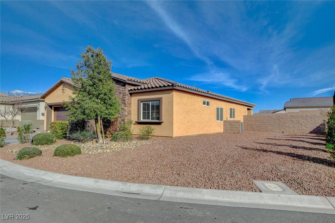 Pahrump, NV 89061,4459 S Glory Vine LN