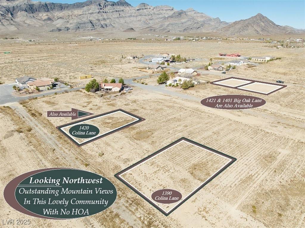Pahrump, NV 89060,1390 W Colina LN