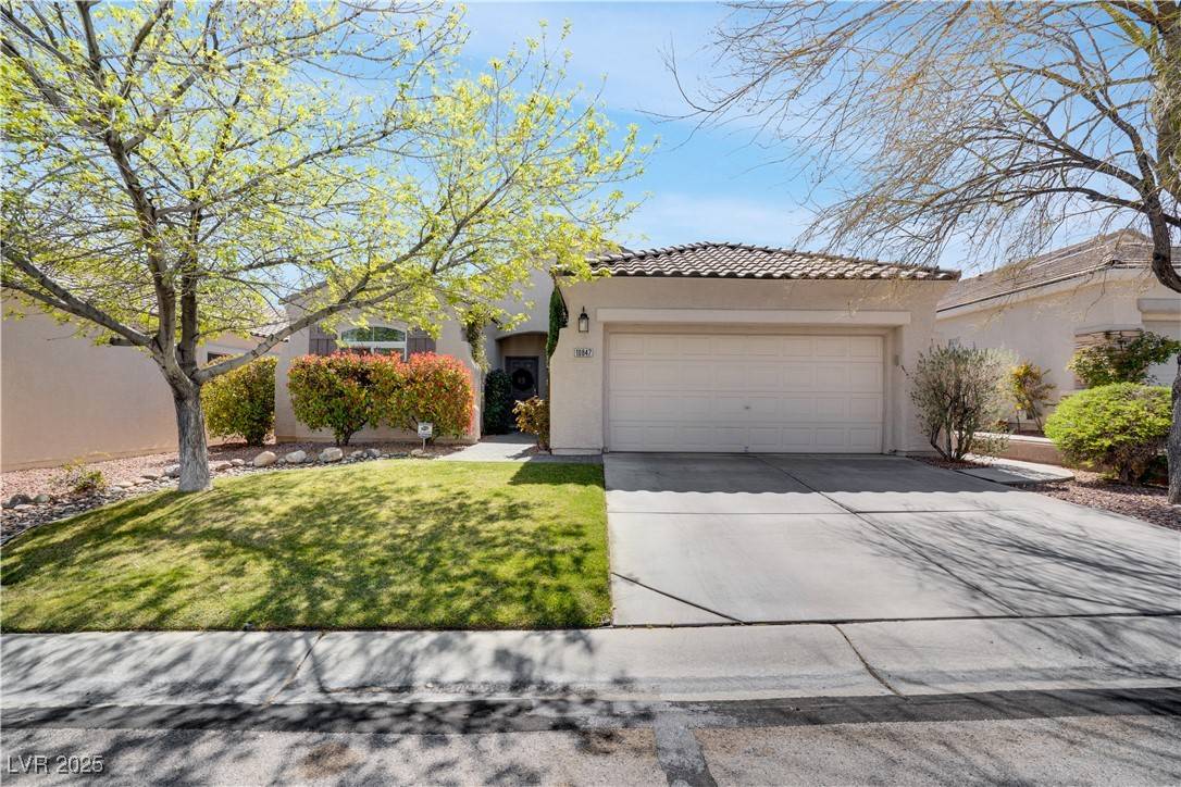 Las Vegas, NV 89135,10847 Intro AVE