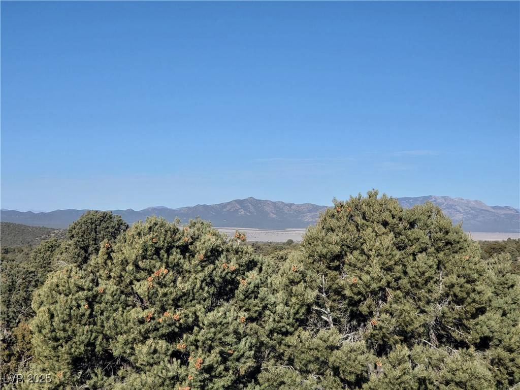 Pioche, NV 89043,1281 Meadow LN