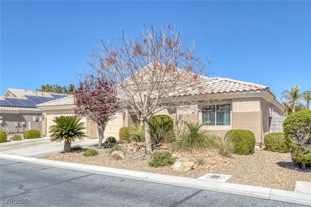 Las Vegas, NV 89130,Address not disclosed