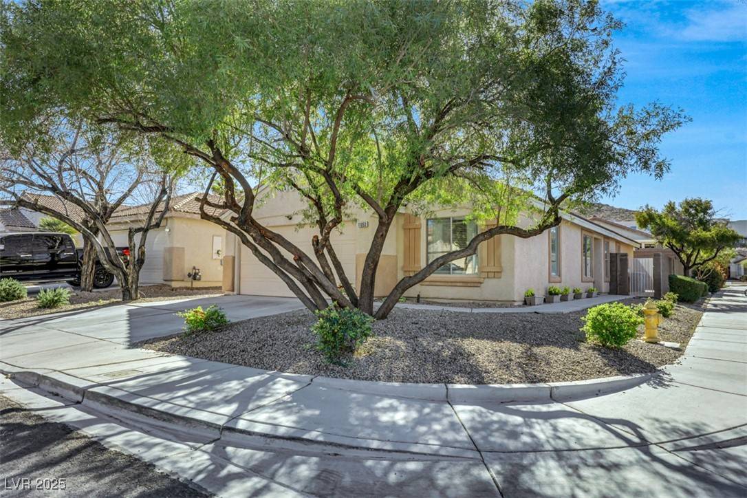 Las Vegas, NV 89141,11053 Cusumano CT