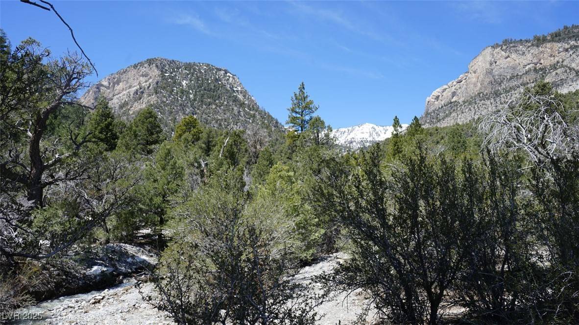 Las Vegas, NV 89124,233 Ski Trail RD
