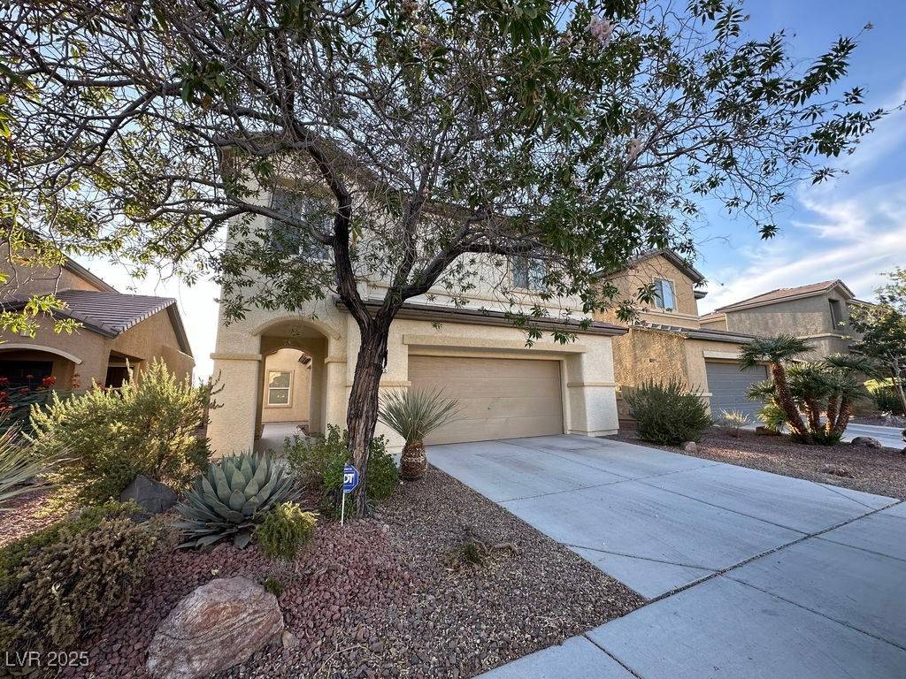 Las Vegas, NV 89131,8205 Celina Hills ST
