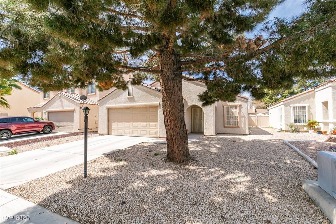 Las Vegas, NV 89110,355 Joe Doumit WAY