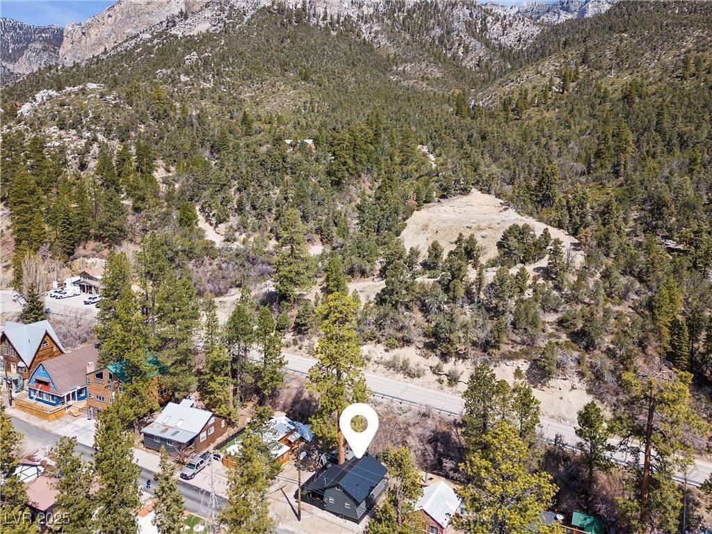 Mount Charleston, NV 89124,4578 Yellow Pine AVE